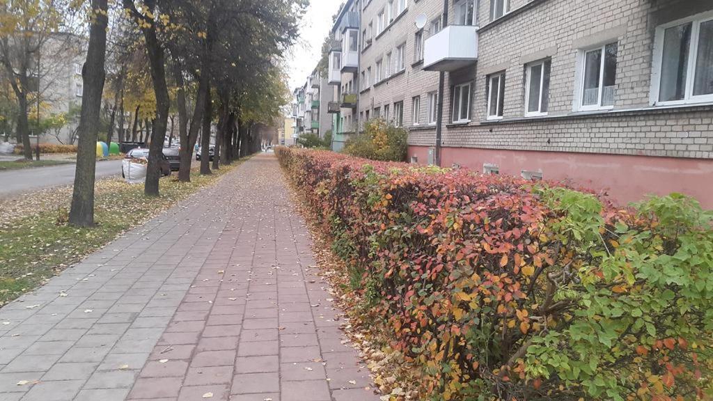 Apartment For You Šiauliai 외부 사진